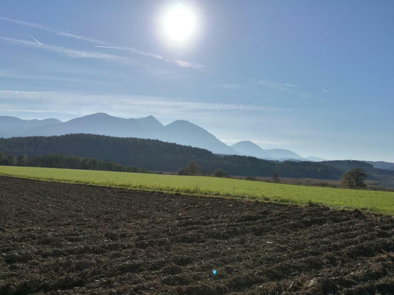 Landgasthof Piroutz Sankt Kanzian am Klopeiner See Eksteriør bilde